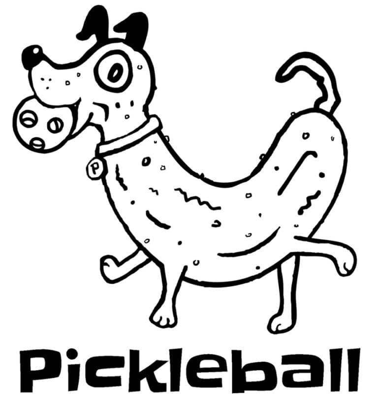 History of Pickleball: A Popular Game Named After A Dog